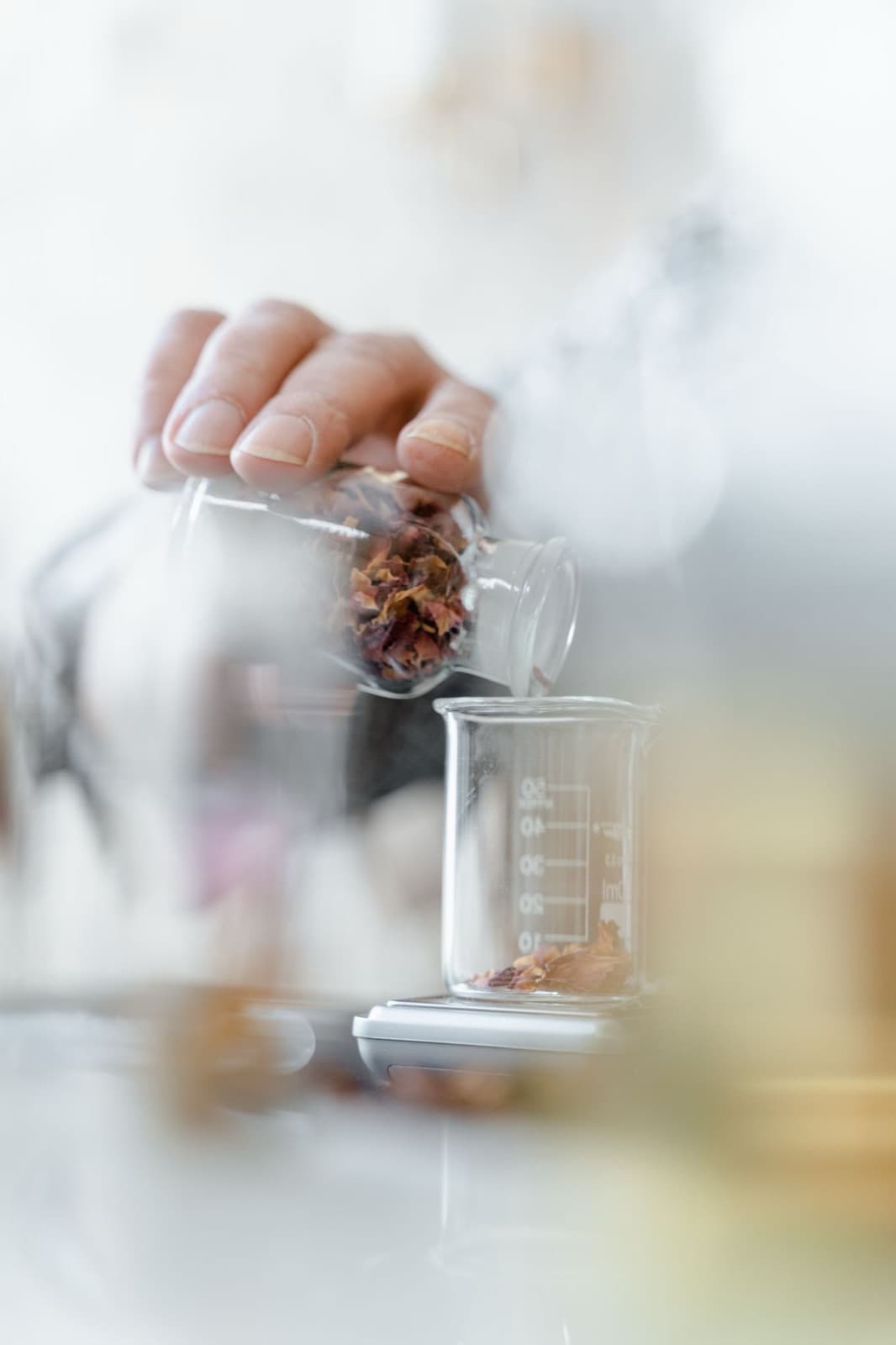 Dried botanicals being weighed into a laboratory beaker during Ayurvedic research