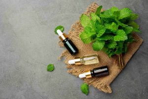 ai ayurveda product development