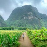 A person walks down a path surrounded by lush greenery and towering mountains.