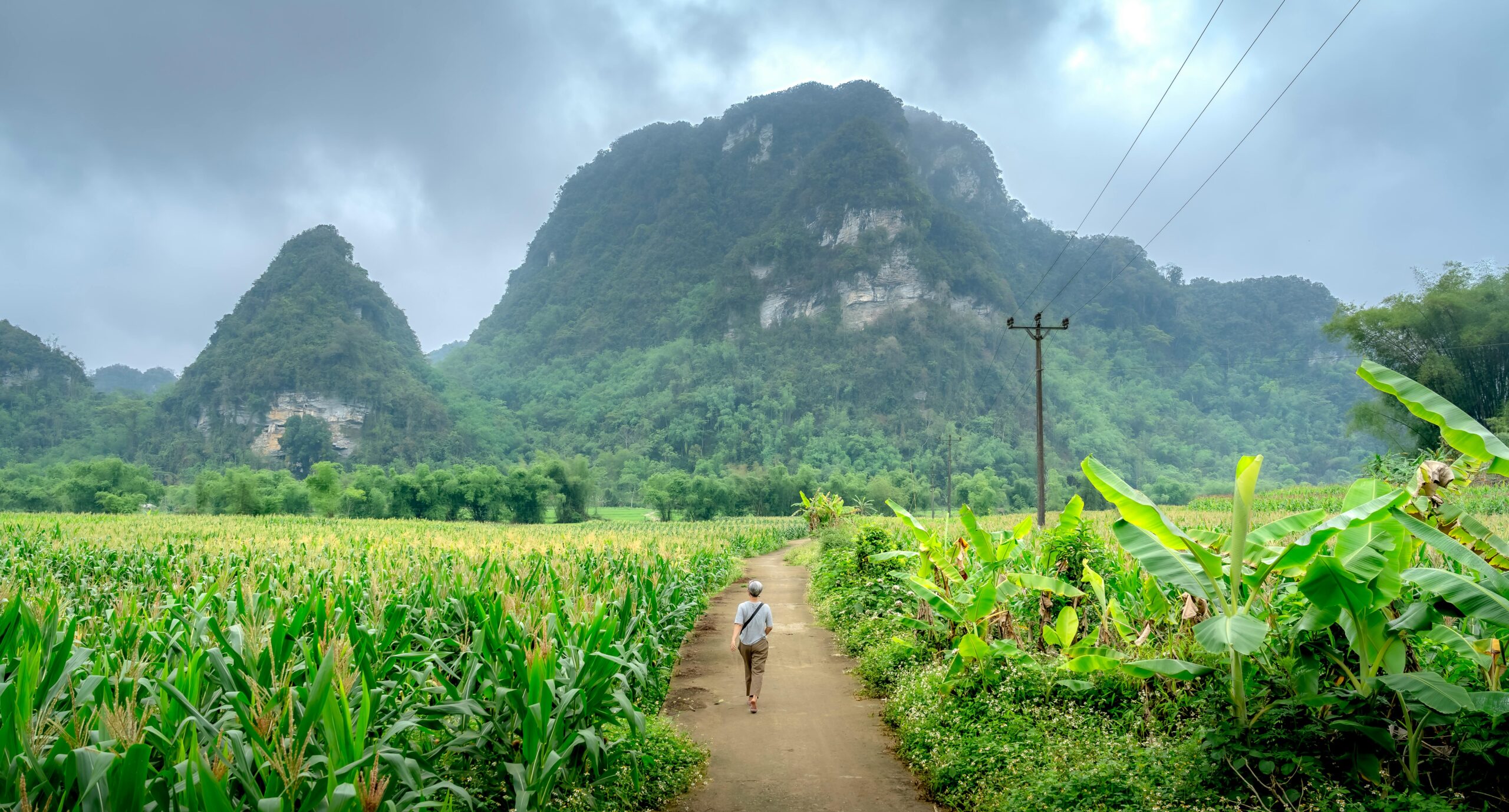 A person walks down a path surrounded by lush greenery and towering mountains.